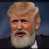 MAGA BEARD(@Charles23041768) 's Twitter Profileg