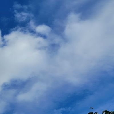 morganemw's profile picture. 