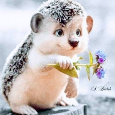 HTonsher24696's profile picture. 