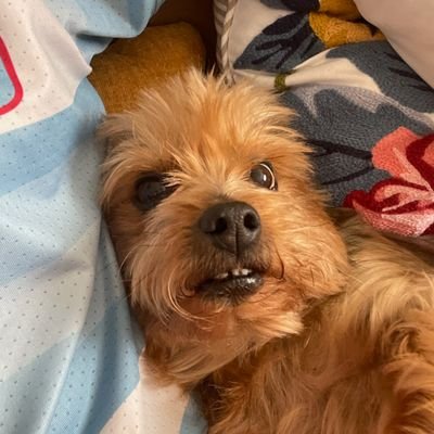 maxdwayne1961's profile picture. Ole Miss Rebel-

Defining the state of Mississippi is like putting the best and the worst in a pot and pouring it out between Memphis and New Orleans.