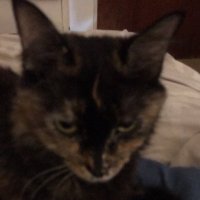 jwan (@notengonombren1) 's Twitter Profile Photo jwan (@notengonombren1) 's Twitter Profile Photo