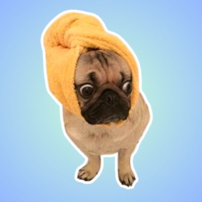 Just a cute pug wif a towel 🐶🧣
An authentic meme built to last! 
$PWIFT lives on Solana!🏡