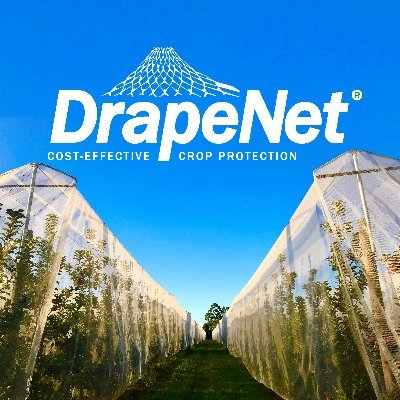 DrapeNet's profile picture. Providing cost effective crop protection across North America.  Hail, birds, insects, you name it - we can help.