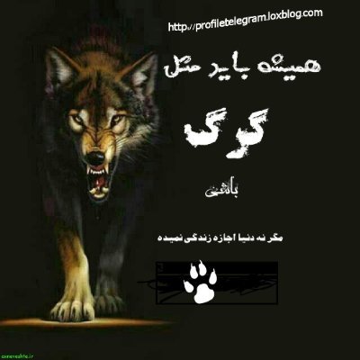 kargartanha's profile picture. #تابع_قوانین_شاهنشاهی