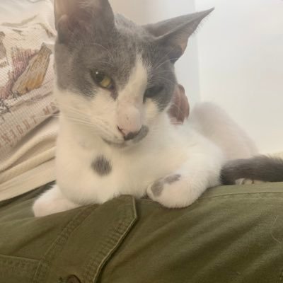 zami_isalive's profile picture. 