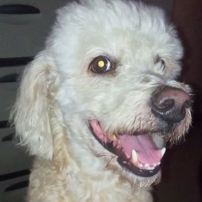 89orell's profile picture. #Marcina 👽🤟🏼
#HaAshFAN ✌😎 #UnBesitoMasEcuador 💕
#UnaSuperficial 
#UnoGYE 💙

16/04/15;   
17/09/16;   
09/06/18;
07/08/18;
24/08/19 
25/02/23  
01/02/25