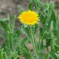 Faz@ (@faz1423061) Twitter profile photo