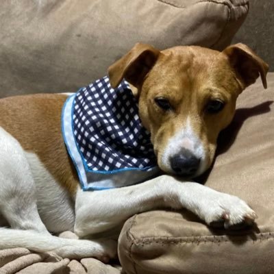 SharePllease's profile picture. 