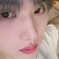 찌요 (@jjiyodream) 's Twitter Profile