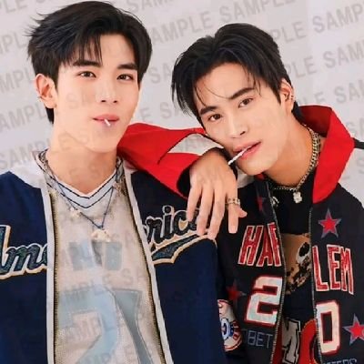 🫶Thai BL Actor GMMTV🫶
💜Korea Pop or KPOP Group TXT💜
🩵PhilippinesPop or PPOP Group SB19🩵