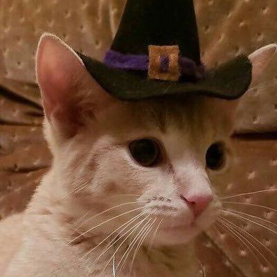 machineshearts's profile picture. calúnia, difamação e injúria. @hurtsboys