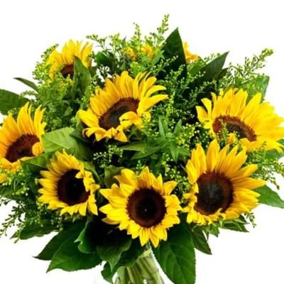 odlo434901's profile picture. 