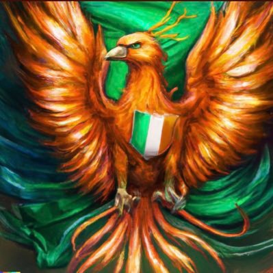 IrishPhoenix5 Profile Picture