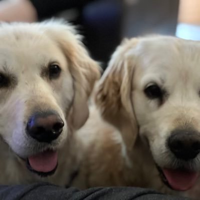 13LesleyA13's profile picture. 