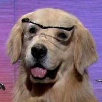 Delta Alpha (@deltaalpha0) 's Twitter Profile