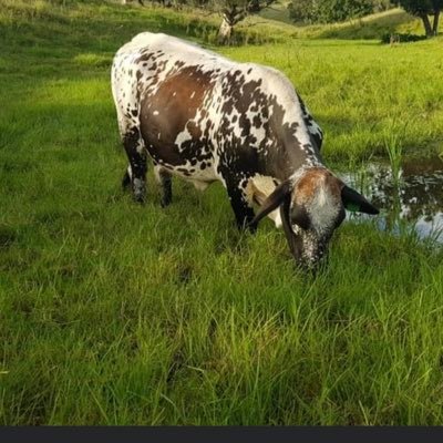 CHAD_REEDER37's profile picture.