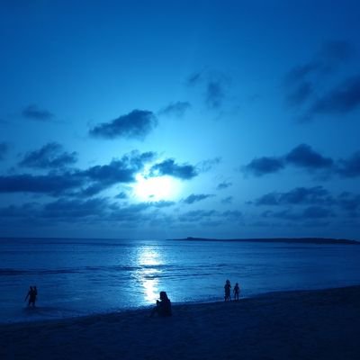 paulieuk73's profile picture. 