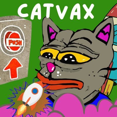 Welcome to the world of $Catvax! Offering the 1st non vaxxed cat. Collect & trade anti vax-inspired #NFTs #Web3 TG: https://t.co/vX08MxL5dE