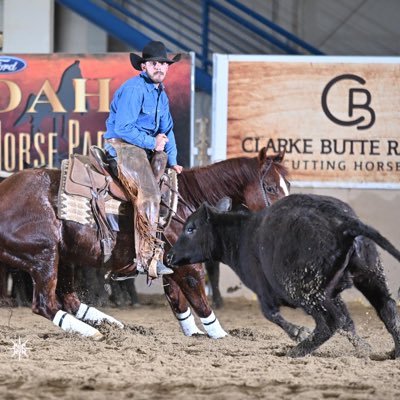 Trainer at Baerback Performance Horses . Specializing in the training and showing of cutting and reined cow horses.