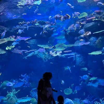 ploychikurii's profile picture. บ่น #รีวิวคสอ #ส่องคริปโต