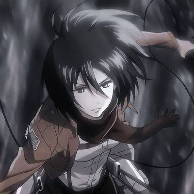 mikasa