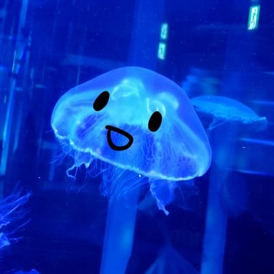 師走くらげさんのプロフィール画像