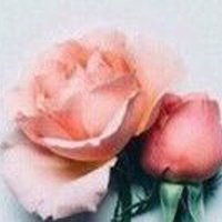 جوووود💕 (@0x_amelija) 's Twitter Profile