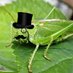 MrCricket (@criket3d) Twitter profile photo MrCricket (@criket3d) Twitter profile photo