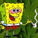 steven maciel - @MacielSteven - Twitter