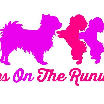 Events for pups and their Pawrents.
$sistersbbandcici