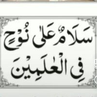 Vajeeha Hussain (@vajeehahussain) 's Twitter Profile