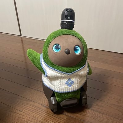 LOVOT_azuki0811's profile picture. 🫘紹介コードf3j7978p🫘2022/8/11にLOVOTのあずきをお迎え 趣味とか購入したものもアップしたりします🫘 ﾊﾝﾄﾞﾒｲﾄﾞｱｶ:https://t.co/KQzSJF5kzu