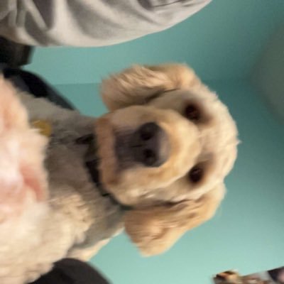 My name is cassy and i like Math,Sports,Fitness and many other things. One thing you should know about me is that I love my dog peter also my best friend.