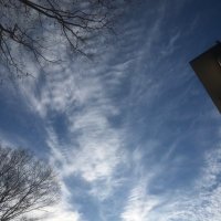 tak17 (@hei5qhpu1n96473) Twitter profile photo