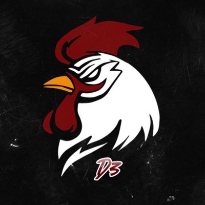 Official Page of Gamecock Hockey Division III Team