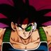 Bardock 🍉 (@Bardock_dardock) Twitter profile photo