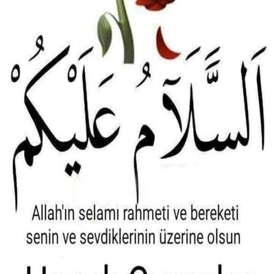 merOsmanGuvenc1's profile picture. 