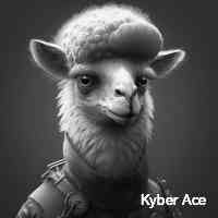 kyberraace's profile picture. Trading in crypto: a modern gold rush