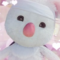 Daily Final Fantasy Music (@dailyffsongs) 's Twitter Profile Photo Daily Final Fantasy Music (@dailyffsongs) 's Twitter Profile Photo