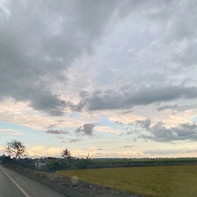 rreyes_03's profile picture. 