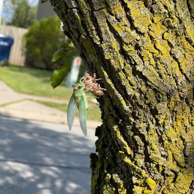 TayRaeLayMay's profile picture. i still call this twitter.