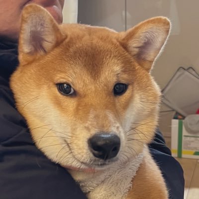 chiiko13n's profile picture. 