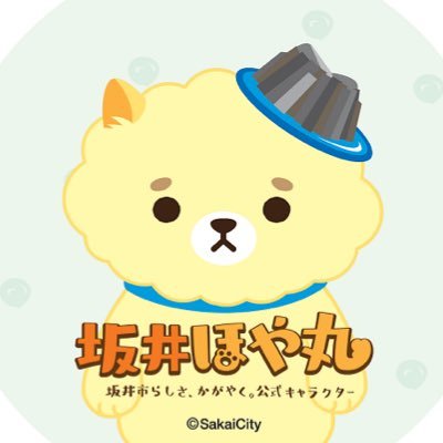 坂井ほや丸🍮🐾【5/6東尋坊 11.12東京 20三国祭】福井県坂井市公式キャラ