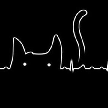 lore123415's profile picture. 😈