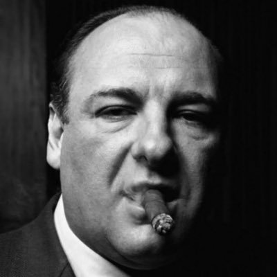 GJ_Soprano's profile picture. We buried him…on a hill…overlooking a river…with pine cones all around.