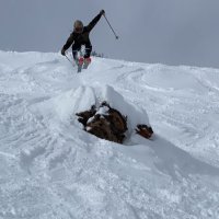 Dingle McKringleberry (@shreddy_jr) 's Twitter Profile