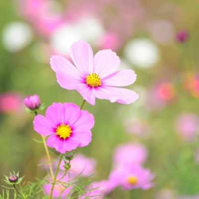 gamjada's profile picture. 직장인입니다