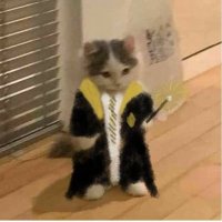 Puffles 🦡 (@ghosthuffies) 's Twitter Profile