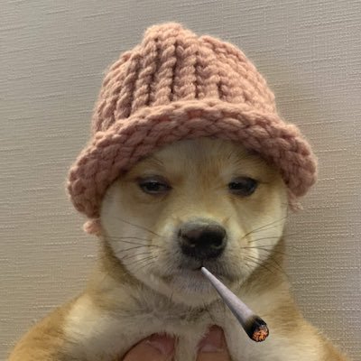 doggwifweed Profile Picture