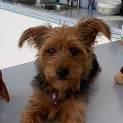 1978KingDom's profile picture. 